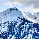 Select 7 - By Alpen